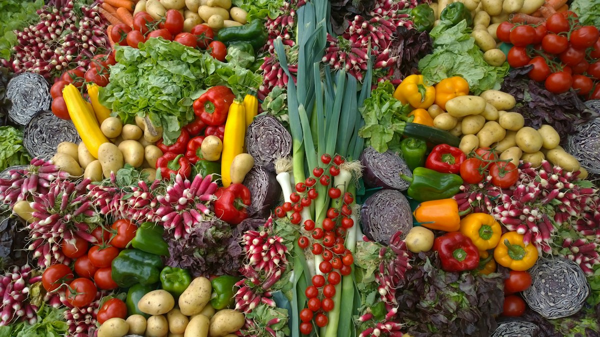 Équipe éditoriale Lean Protein Pillar